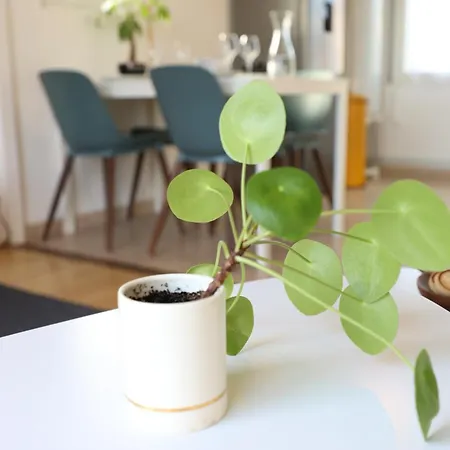 بيت للعطل La Petite Maison