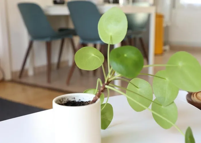 Vakantiehuis La Petite Maison